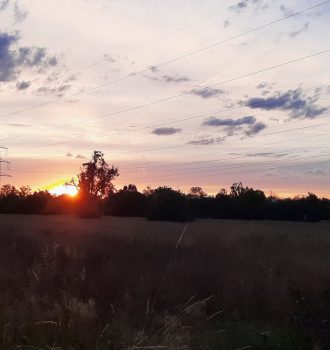 Sonnenuntergang im Feld