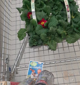 Einkaufswagen mit Blumen und Getränkeflaschen