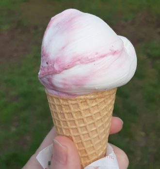 Eiswaffel mit einem Bällchen Eis in der Hand