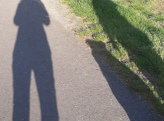 Schatten von zwei Menschen und einem Hund