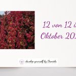12 von 12 im Oktober 2025 – es geht endlich vorwärts!