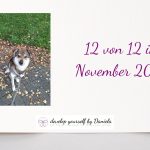 12 von 12 im November 2025 – Freiraum tut sich auf